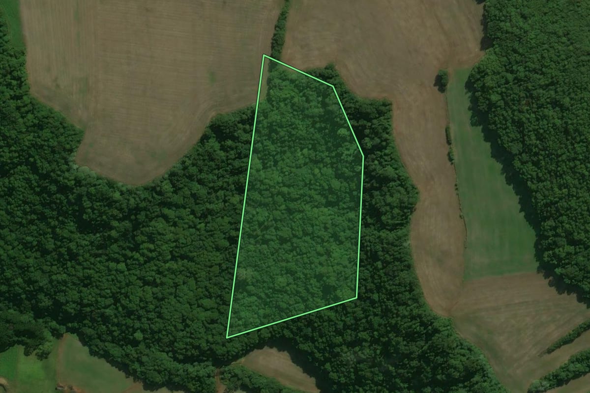 Imagem de satélite do imóvel rural em Charrua (RS), com o contorno declarado no CAR desenhado por cima.
