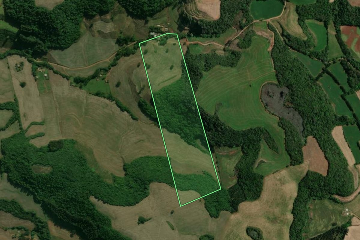 Imagem de satélite do imóvel rural em Charrua (RS), com o contorno declarado no CAR desenhado por cima.