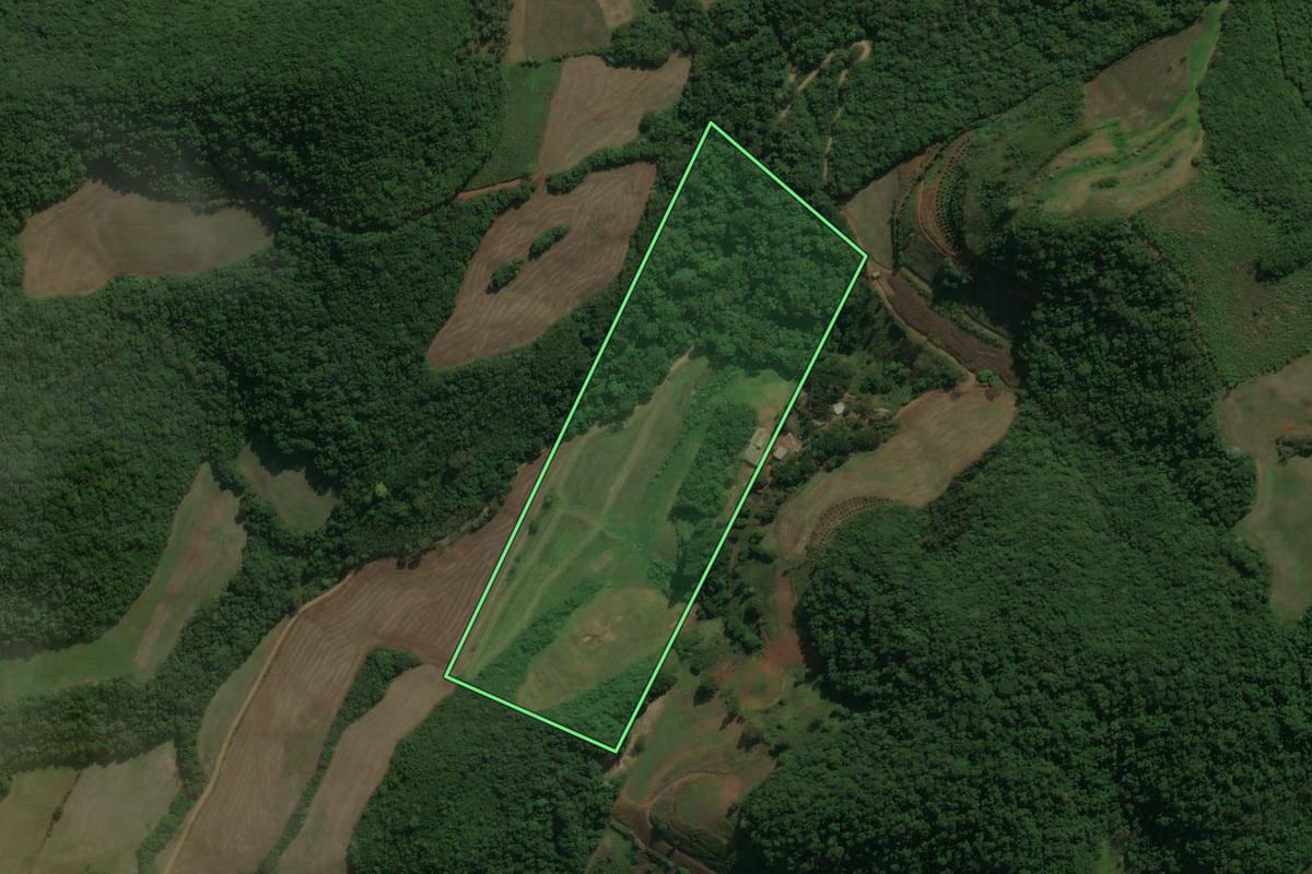 Imagem de satélite do imóvel rural em Charrua (RS), com o contorno declarado no CAR desenhado por cima.