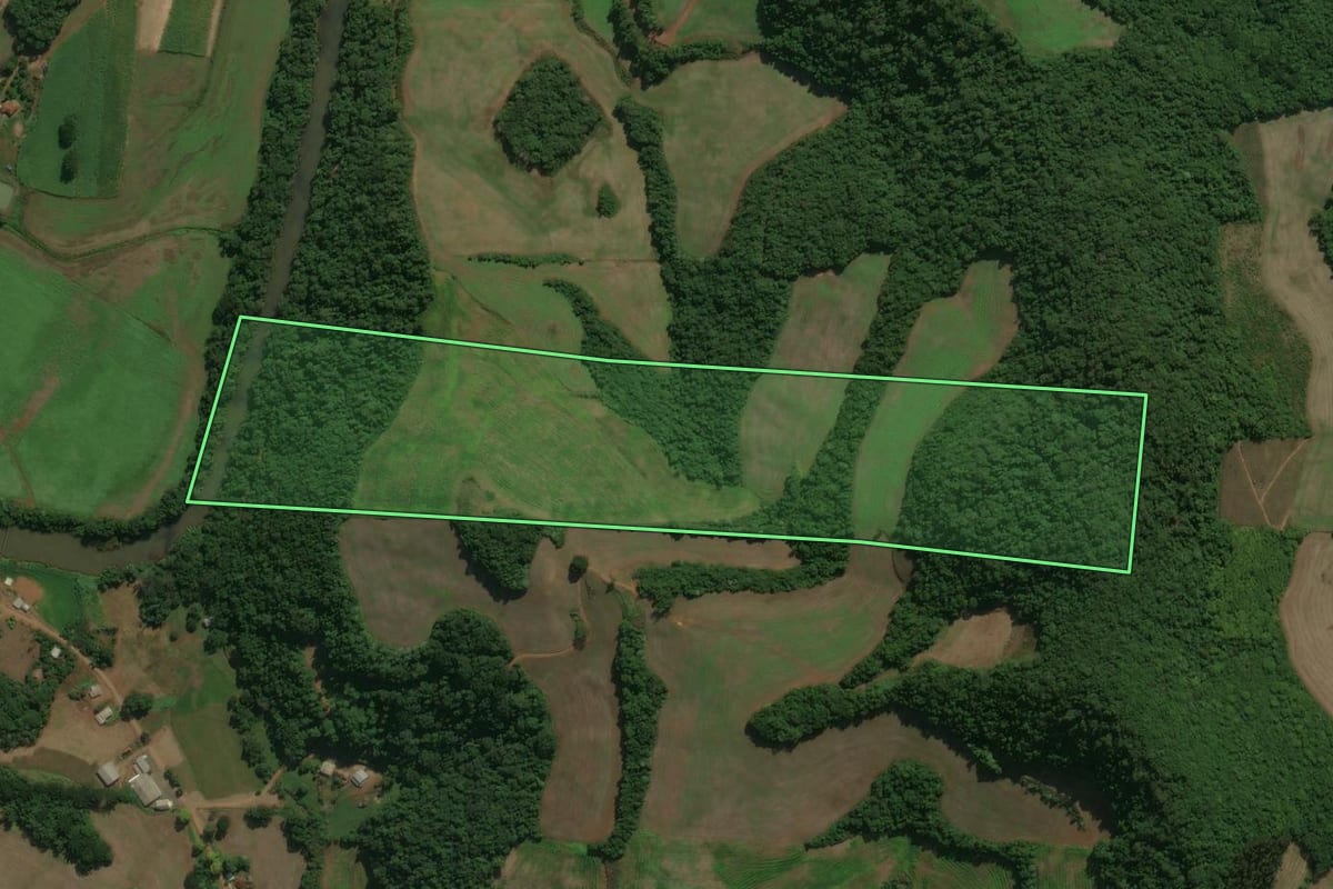 Imagem de satélite do imóvel rural em Charrua (RS), com o contorno declarado no CAR desenhado por cima.