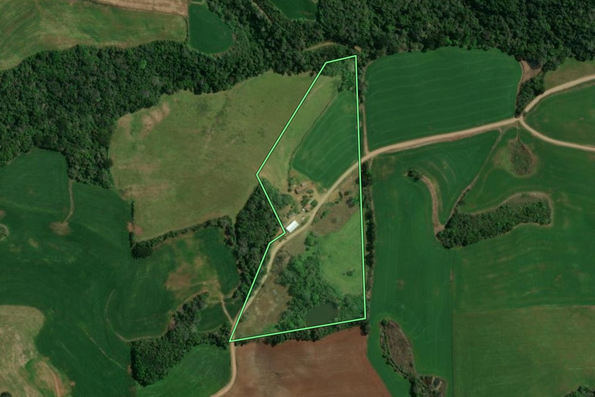 Imagem de satélite do imóvel rural em Charrua (RS), com o contorno declarado no CAR desenhado por cima.