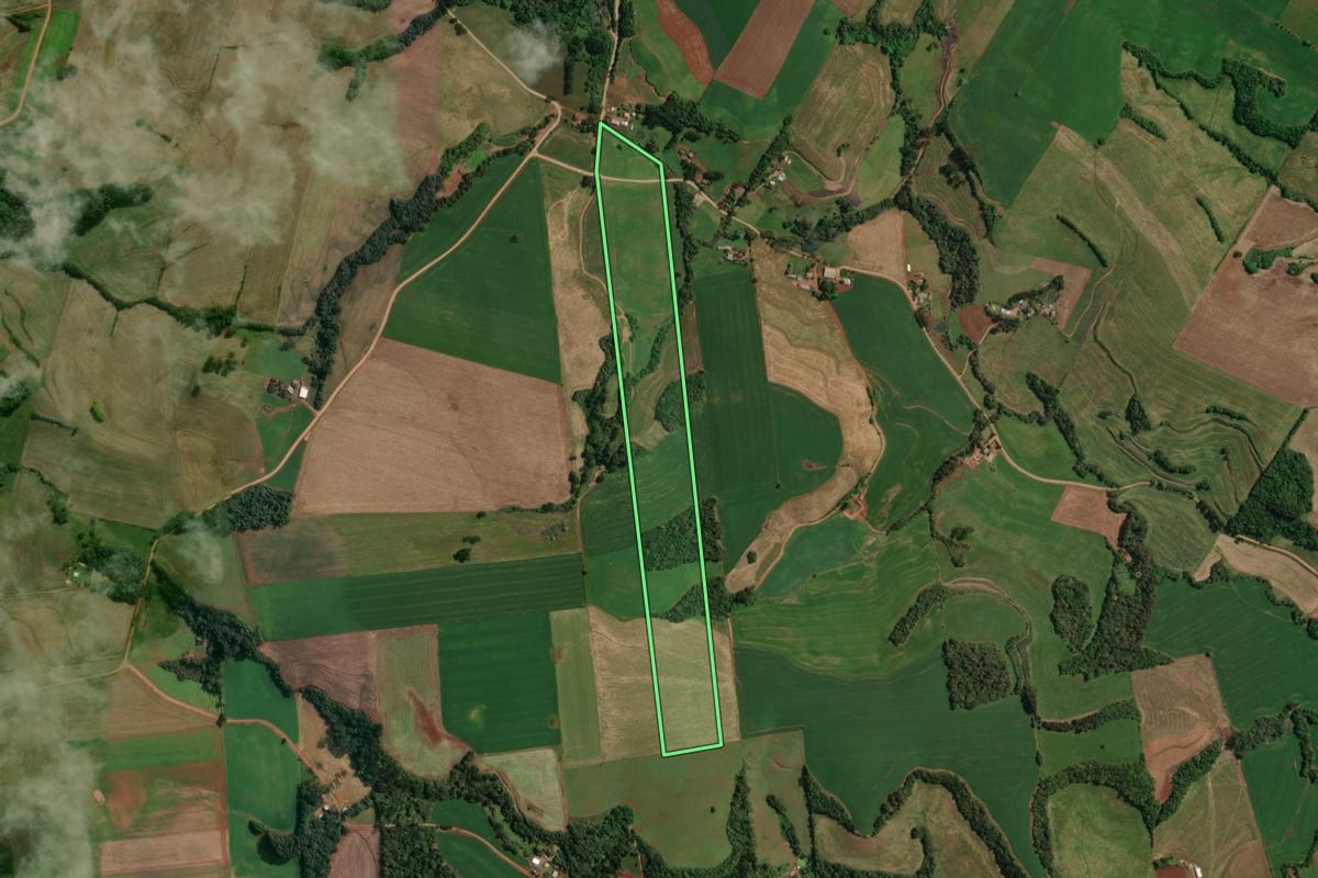 Imagem de satélite do imóvel rural em Charrua (RS), com o contorno declarado no CAR desenhado por cima.