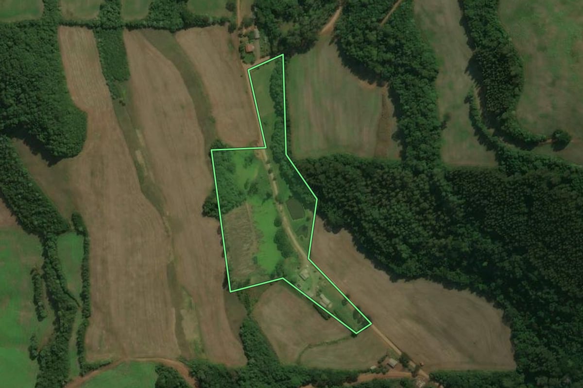 Imagem de satélite do imóvel rural em Charrua (RS), com o contorno declarado no CAR desenhado por cima.