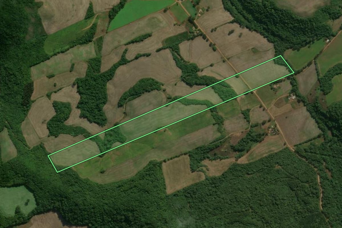 Imagem de satélite do imóvel rural em Charrua (RS), com o contorno declarado no CAR desenhado por cima.