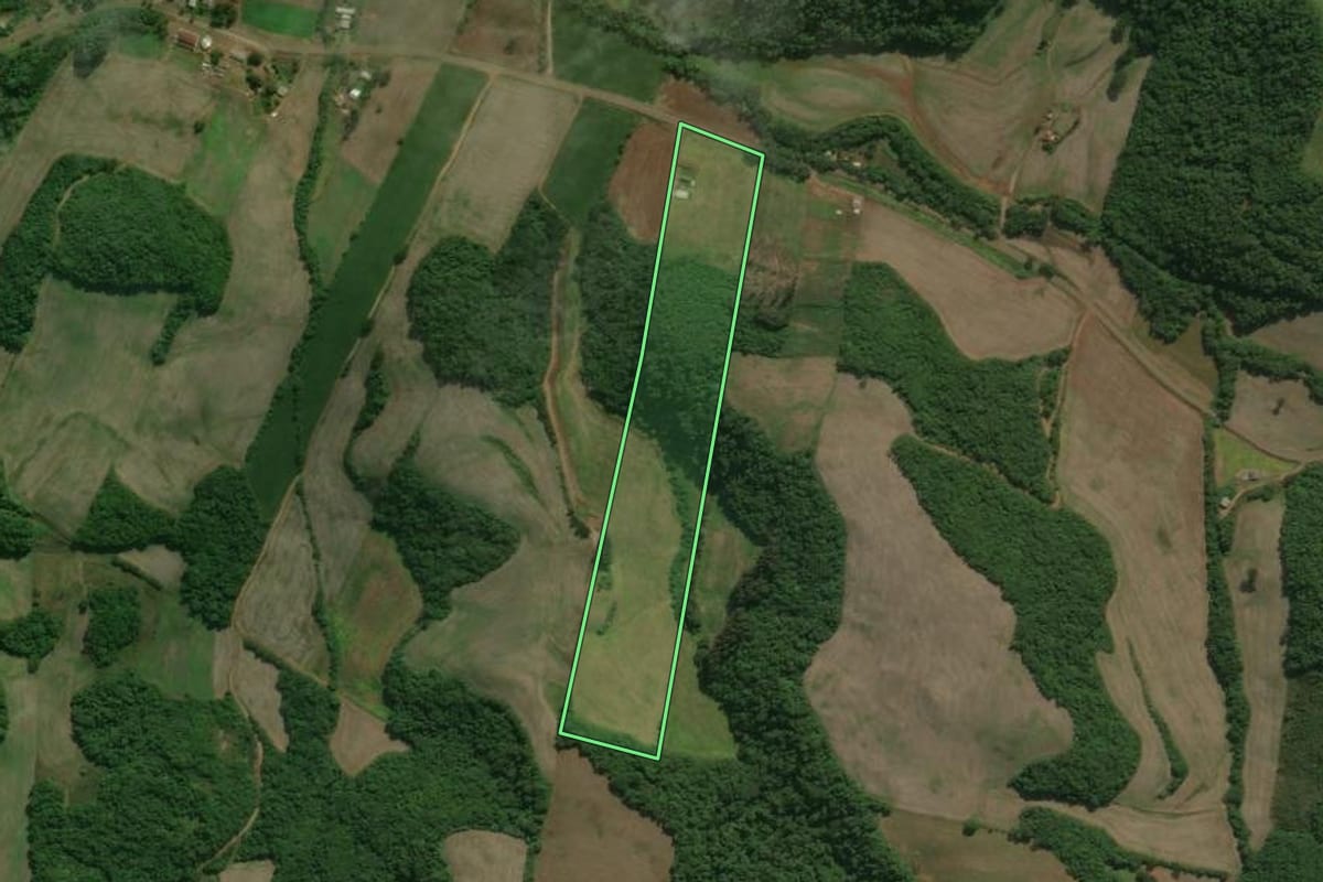 Imagem de satélite do imóvel rural em Charrua (RS), com o contorno declarado no CAR desenhado por cima.