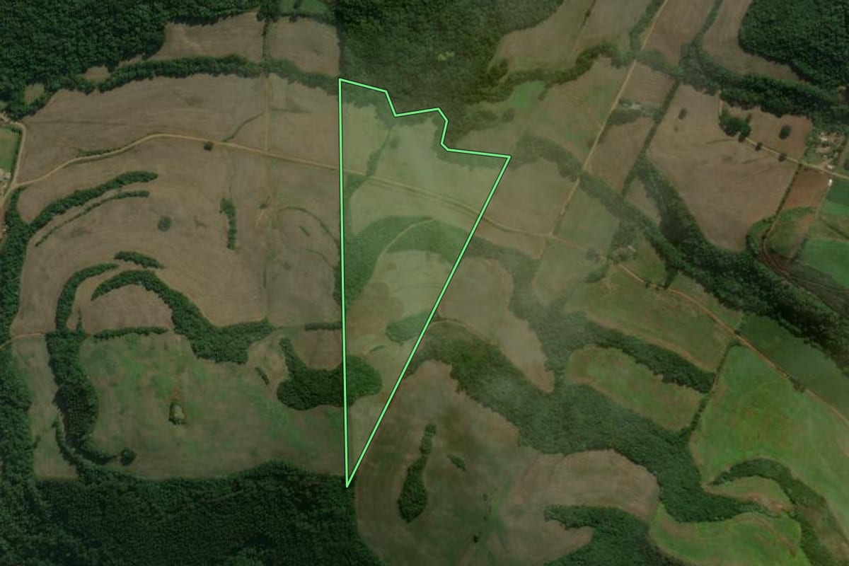 Imagem de satélite do imóvel rural em Charrua (RS), com o contorno declarado no CAR desenhado por cima.