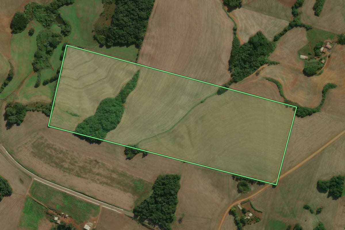 Imagem de satélite do imóvel rural em Charrua (RS), com o contorno declarado no CAR desenhado por cima.