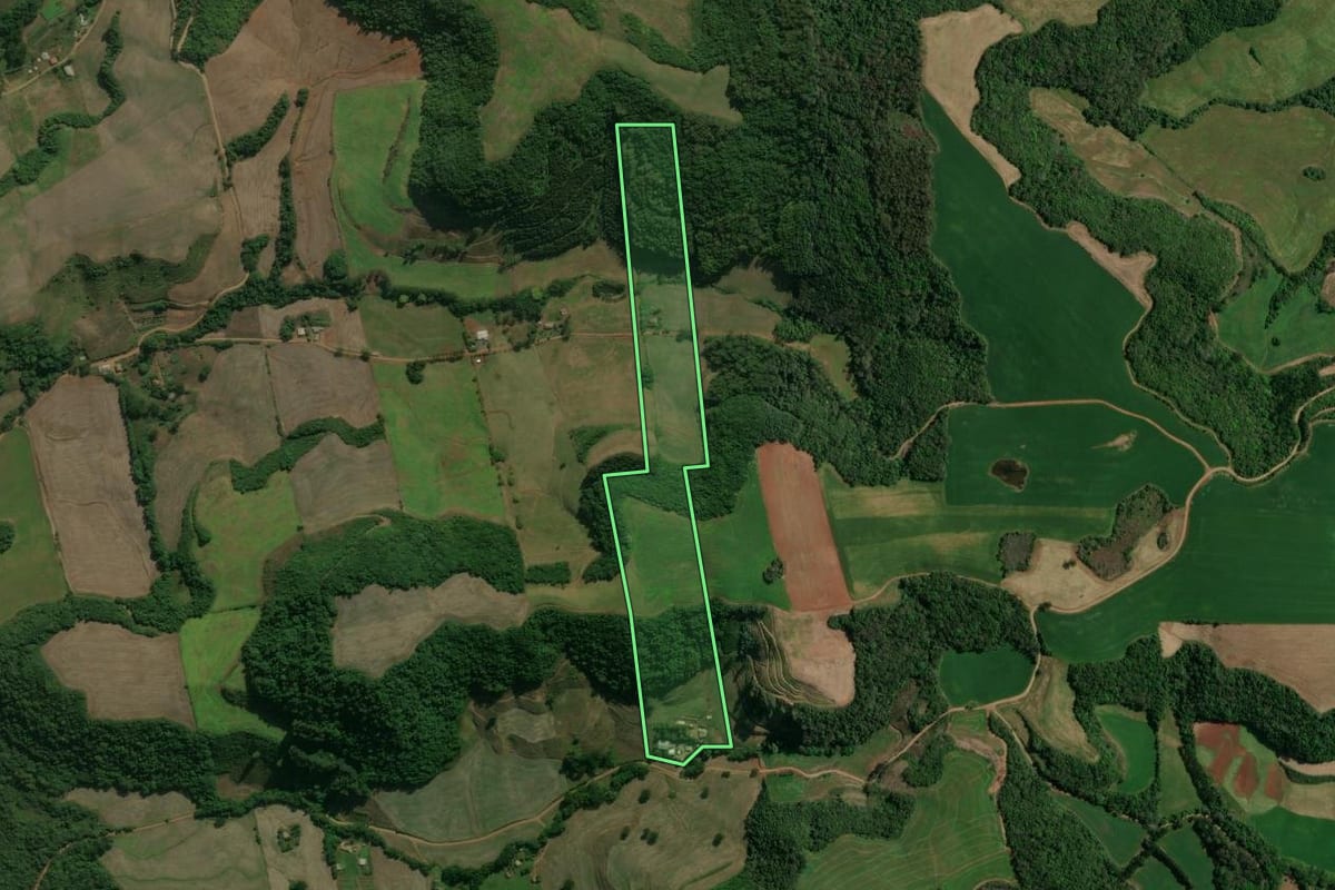 Imagem de satélite do imóvel rural em Charrua (RS), com o contorno declarado no CAR desenhado por cima.