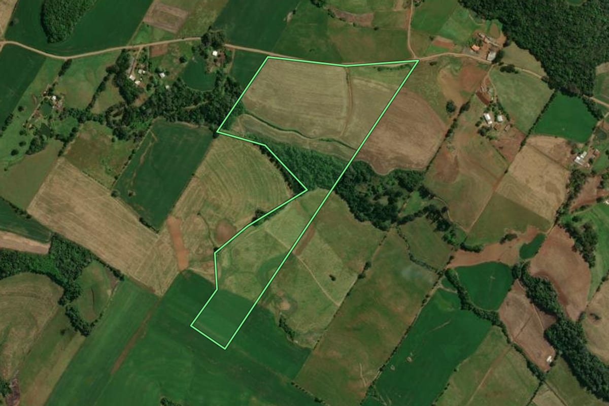 Imagem de satélite do imóvel rural em Charrua (RS), com o contorno declarado no CAR desenhado por cima.