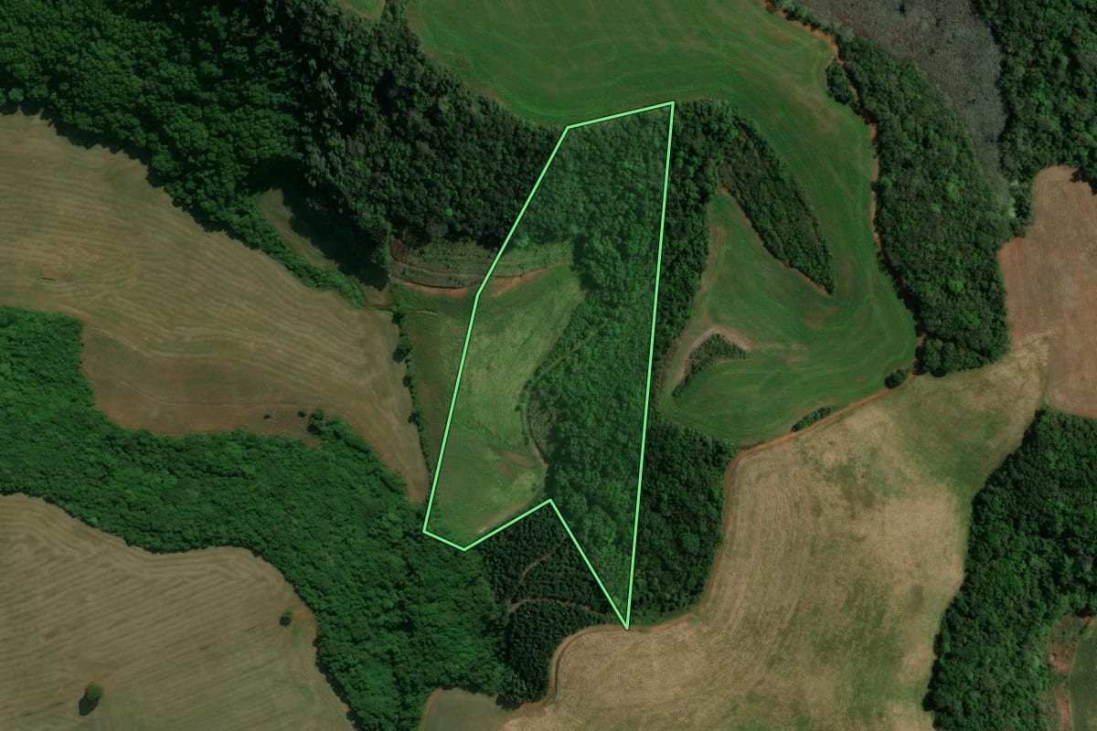 Imagem de satélite do imóvel rural em Charrua (RS), com o contorno declarado no CAR desenhado por cima.