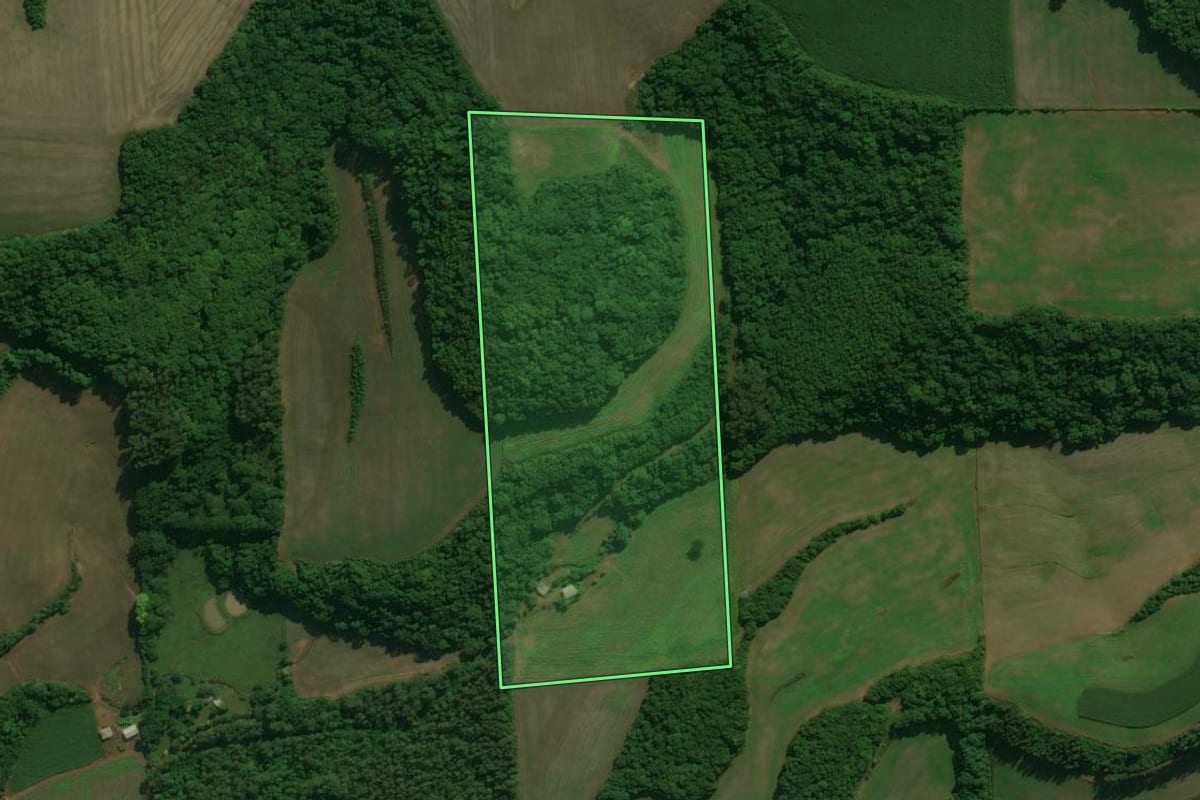 Imagem de satélite do imóvel rural em Charrua (RS), com o contorno declarado no CAR desenhado por cima.