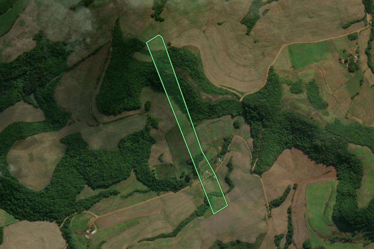 Imagem de satélite do imóvel rural em Charrua (RS), com o contorno declarado no CAR desenhado por cima.