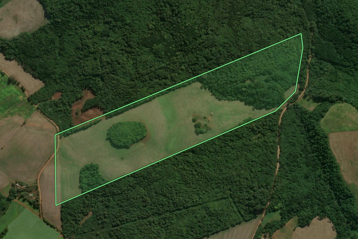 Imagem de satélite do imóvel rural em Charrua (RS), com o contorno declarado no CAR desenhado por cima.