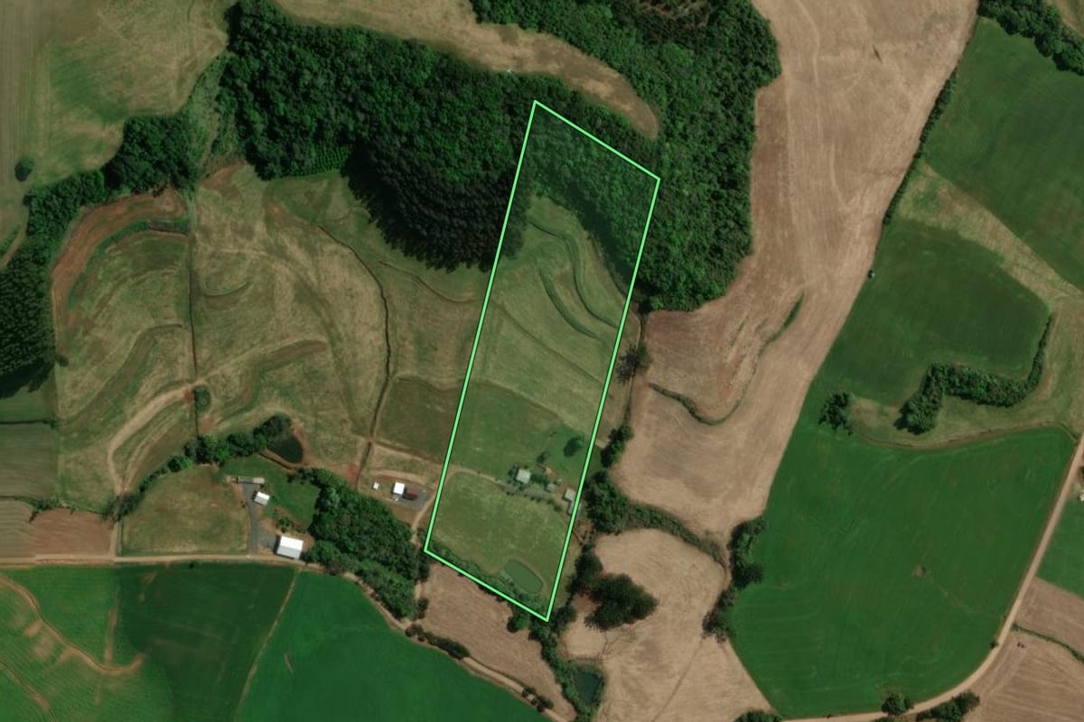 Imagem de satélite do imóvel rural em Charrua (RS), com o contorno declarado no CAR desenhado por cima.