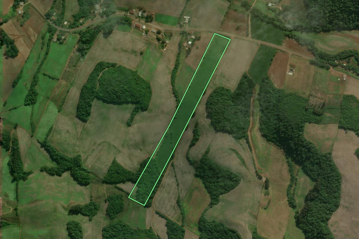 Imagem de satélite do imóvel rural em Charrua (RS), com o contorno declarado no CAR desenhado por cima.