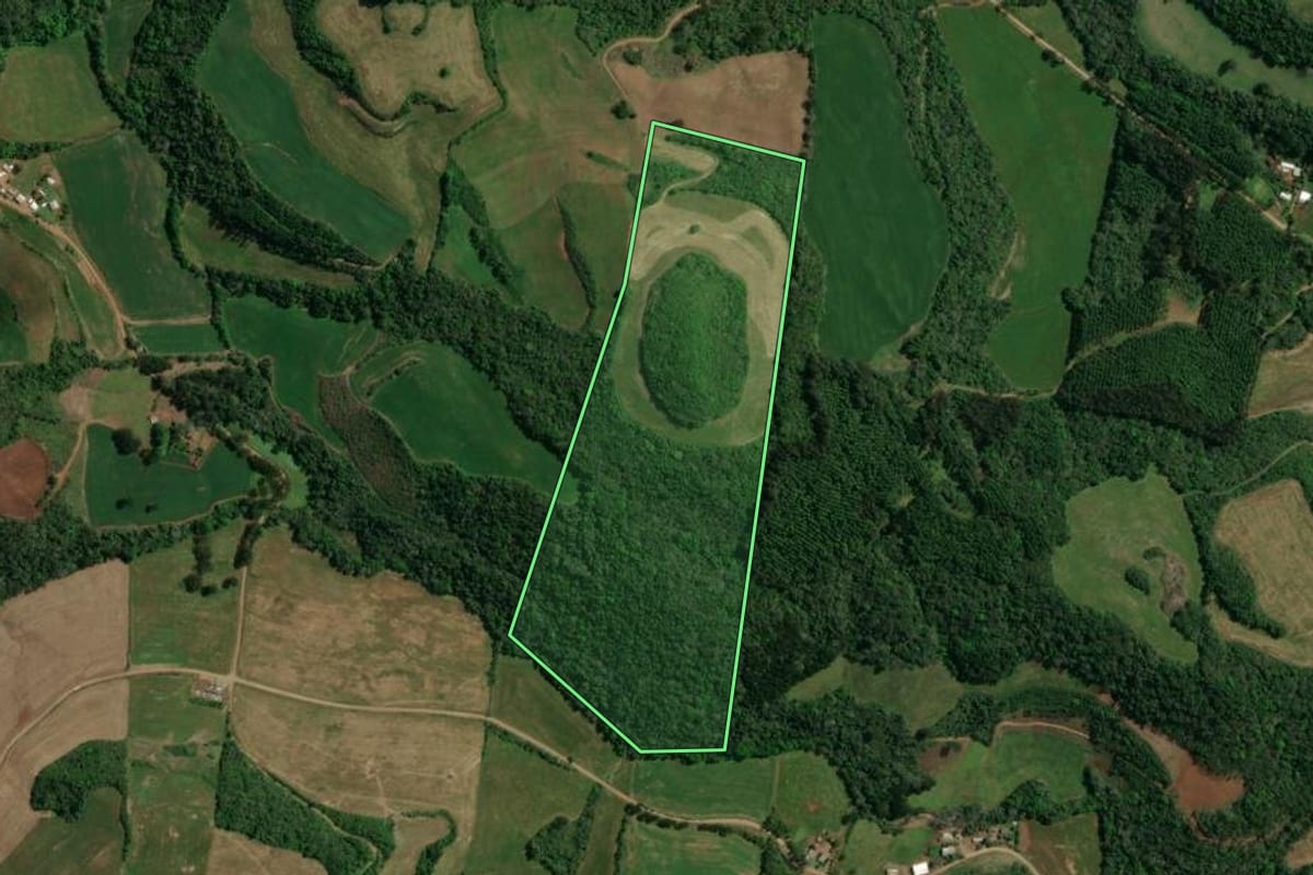 Imagem de satélite do imóvel rural em Charrua (RS), com o contorno declarado no CAR desenhado por cima.