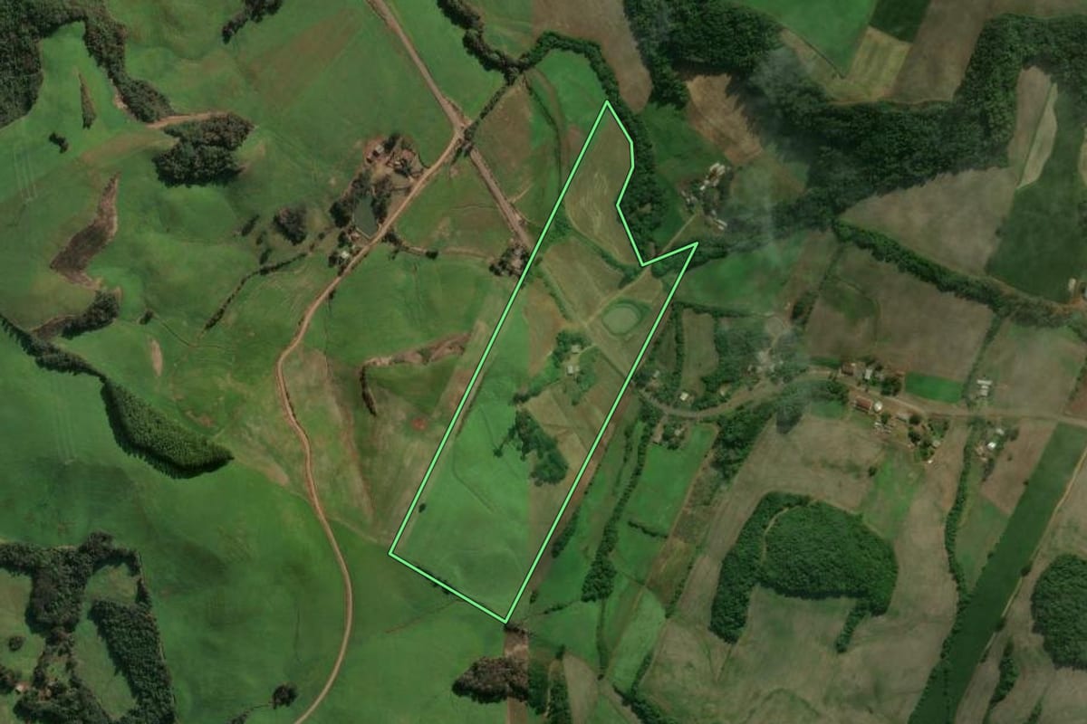 Imagem de satélite do imóvel rural em Charrua (RS), com o contorno declarado no CAR desenhado por cima.