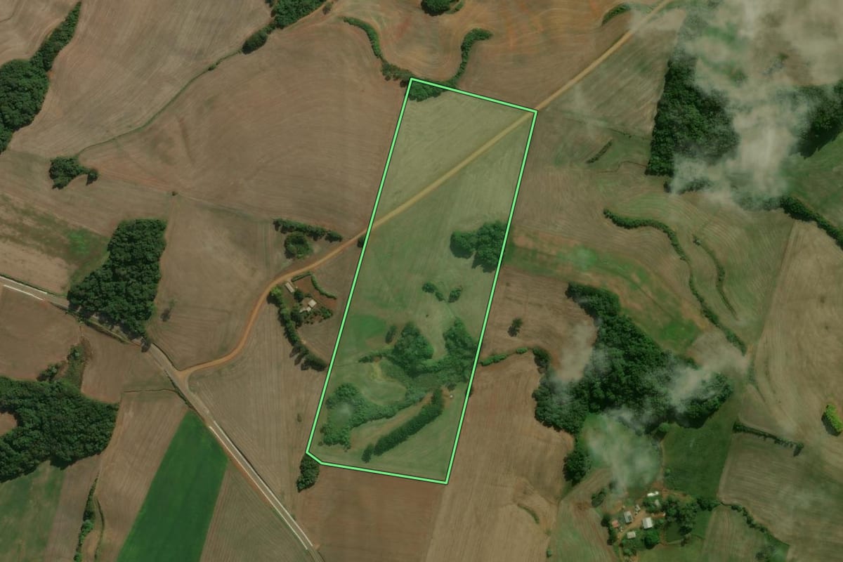 Imagem de satélite do imóvel rural em Charrua (RS), com o contorno declarado no CAR desenhado por cima.