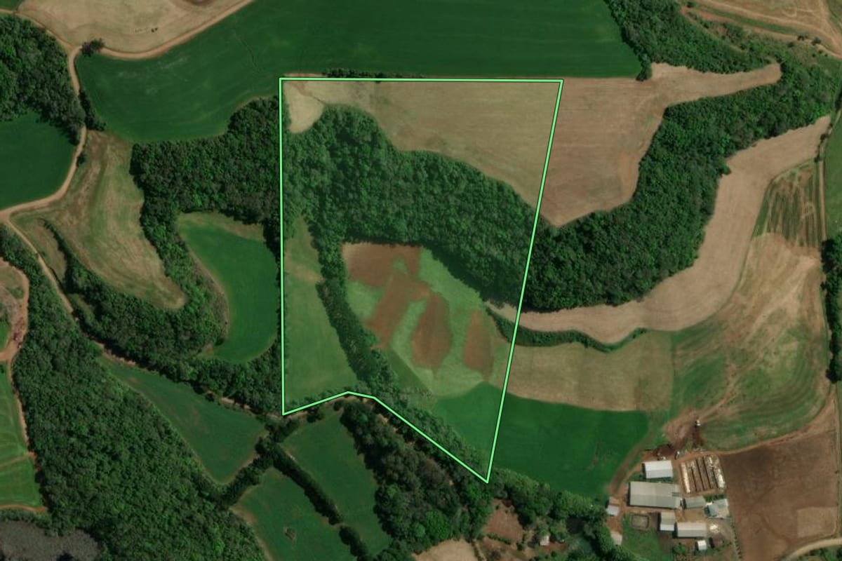 Imagem de satélite do imóvel rural em Charrua (RS), com o contorno declarado no CAR desenhado por cima.