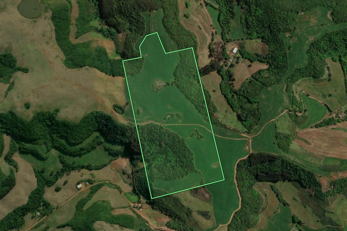 Imagem de satélite do imóvel rural em Charrua (RS), com o contorno declarado no CAR desenhado por cima.