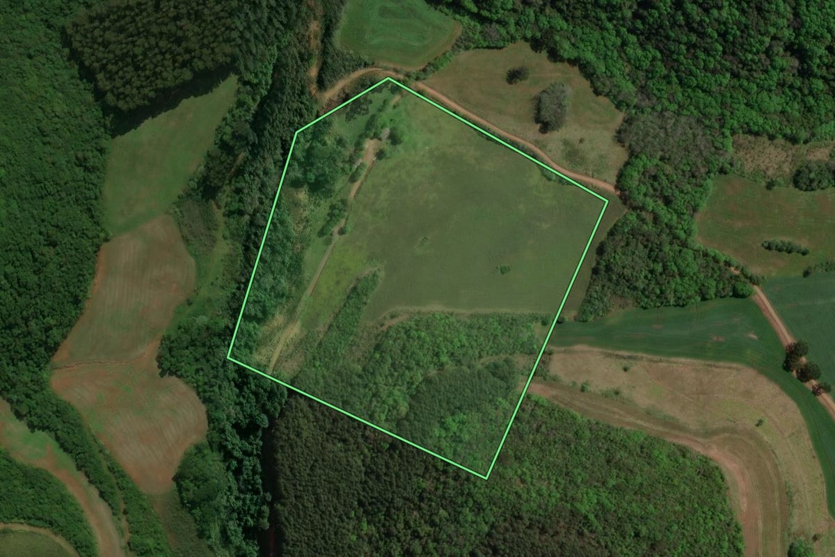 Imagem de satélite do imóvel rural em Charrua (RS), com o contorno declarado no CAR desenhado por cima.