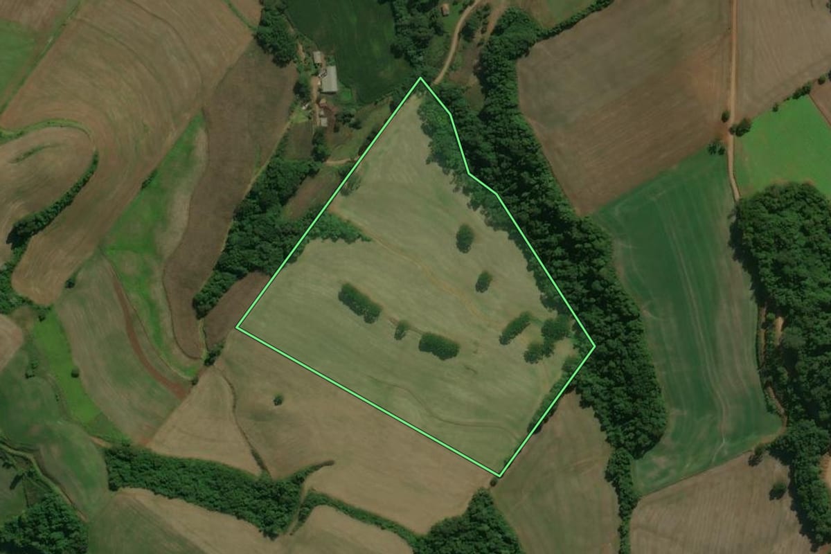Imagem de satélite do imóvel rural em Charrua (RS), com o contorno declarado no CAR desenhado por cima.