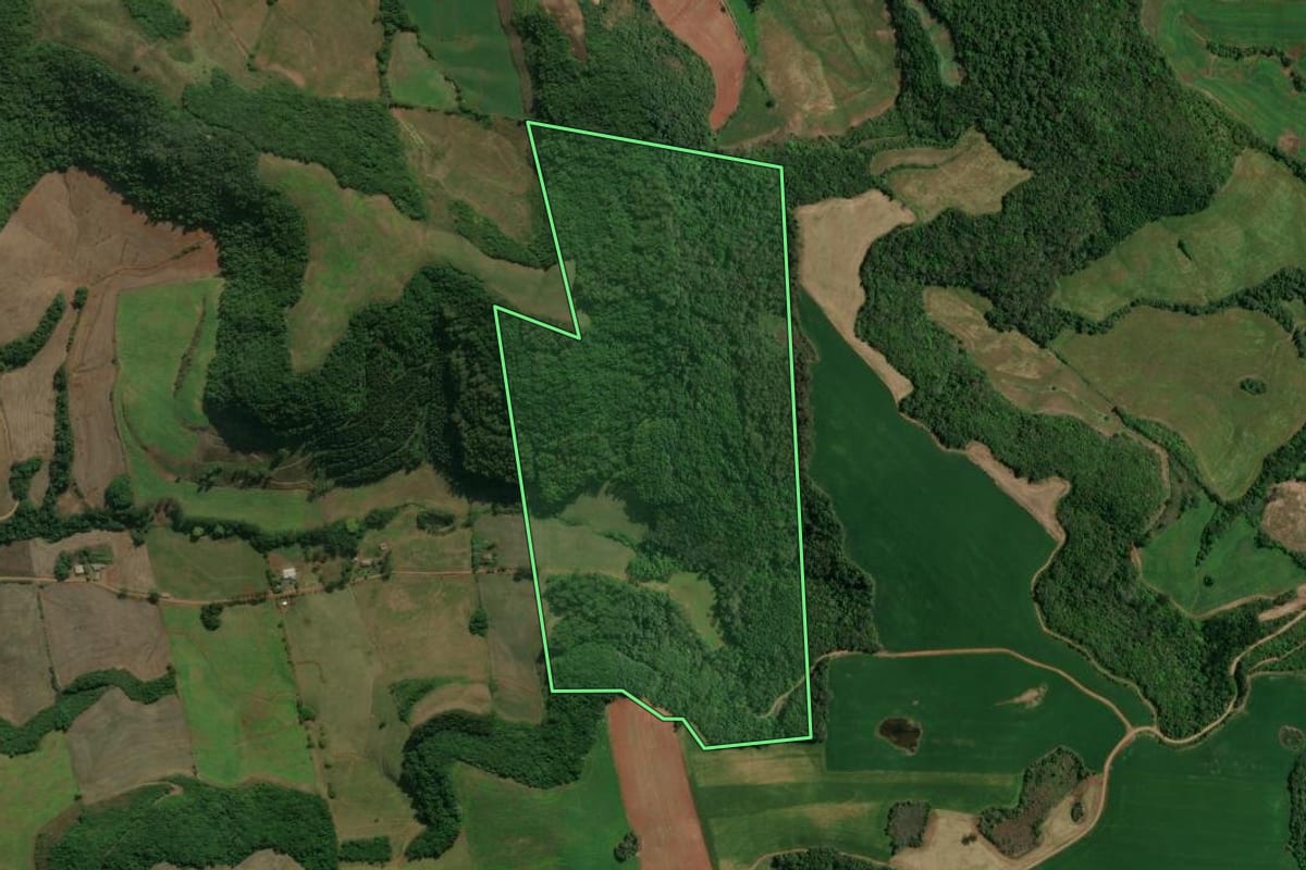 Imagem de satélite do imóvel rural em Charrua (RS), com o contorno declarado no CAR desenhado por cima.