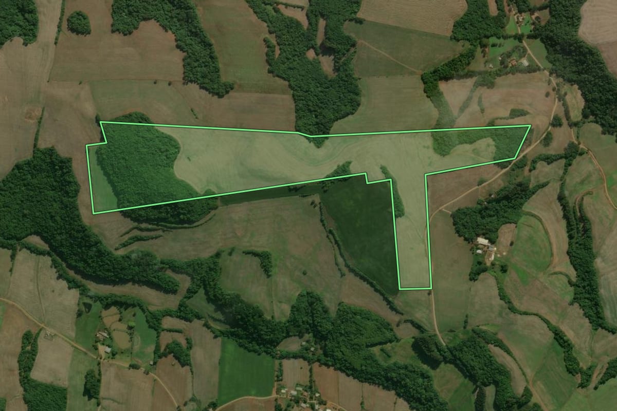 Imagem de satélite do imóvel rural em Charrua (RS), com o contorno declarado no CAR desenhado por cima.