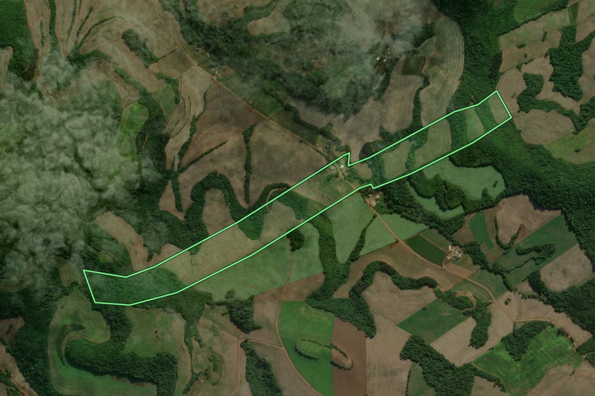 Imagem de satélite do imóvel rural em Charrua (RS), com o contorno declarado no CAR desenhado por cima.