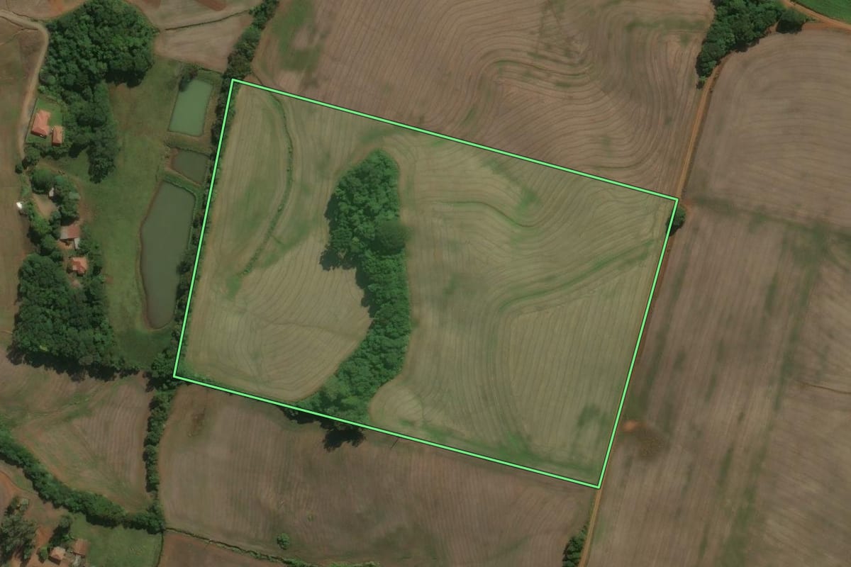 Imagem de satélite do imóvel rural em Charrua (RS), com o contorno declarado no CAR desenhado por cima.