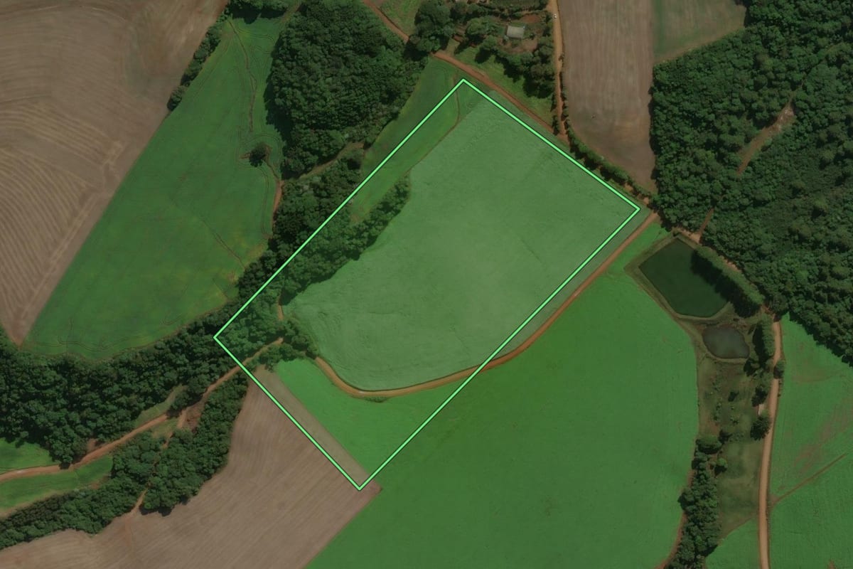 Imagem de satélite do imóvel rural em Charrua (RS), com o contorno declarado no CAR desenhado por cima.