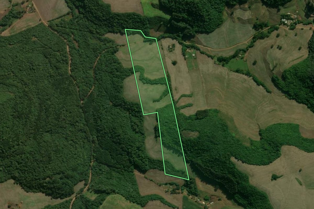 Imagem de satélite do imóvel rural em Charrua (RS), com o contorno declarado no CAR desenhado por cima.