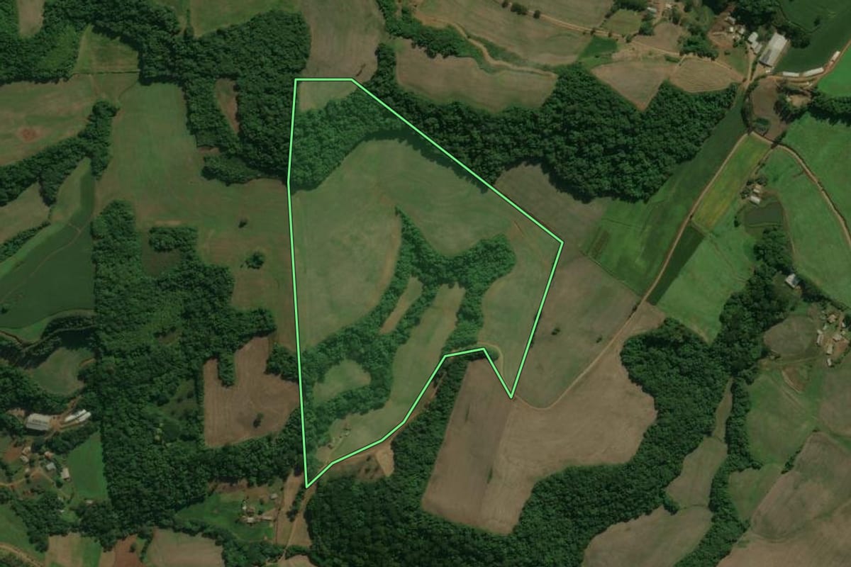 Imagem de satélite do imóvel rural em Charrua (RS), com o contorno declarado no CAR desenhado por cima.