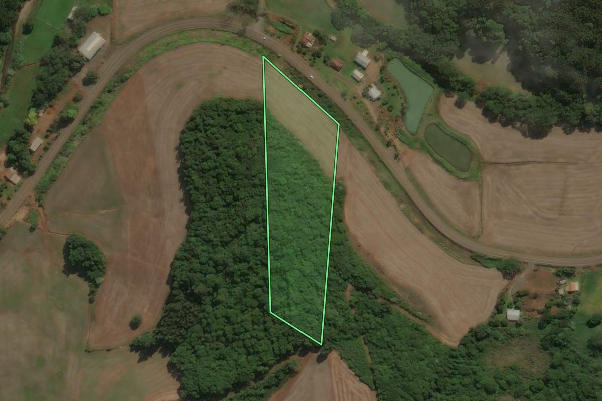 Imagem de satélite do imóvel rural em Charrua (RS), com o contorno declarado no CAR desenhado por cima.