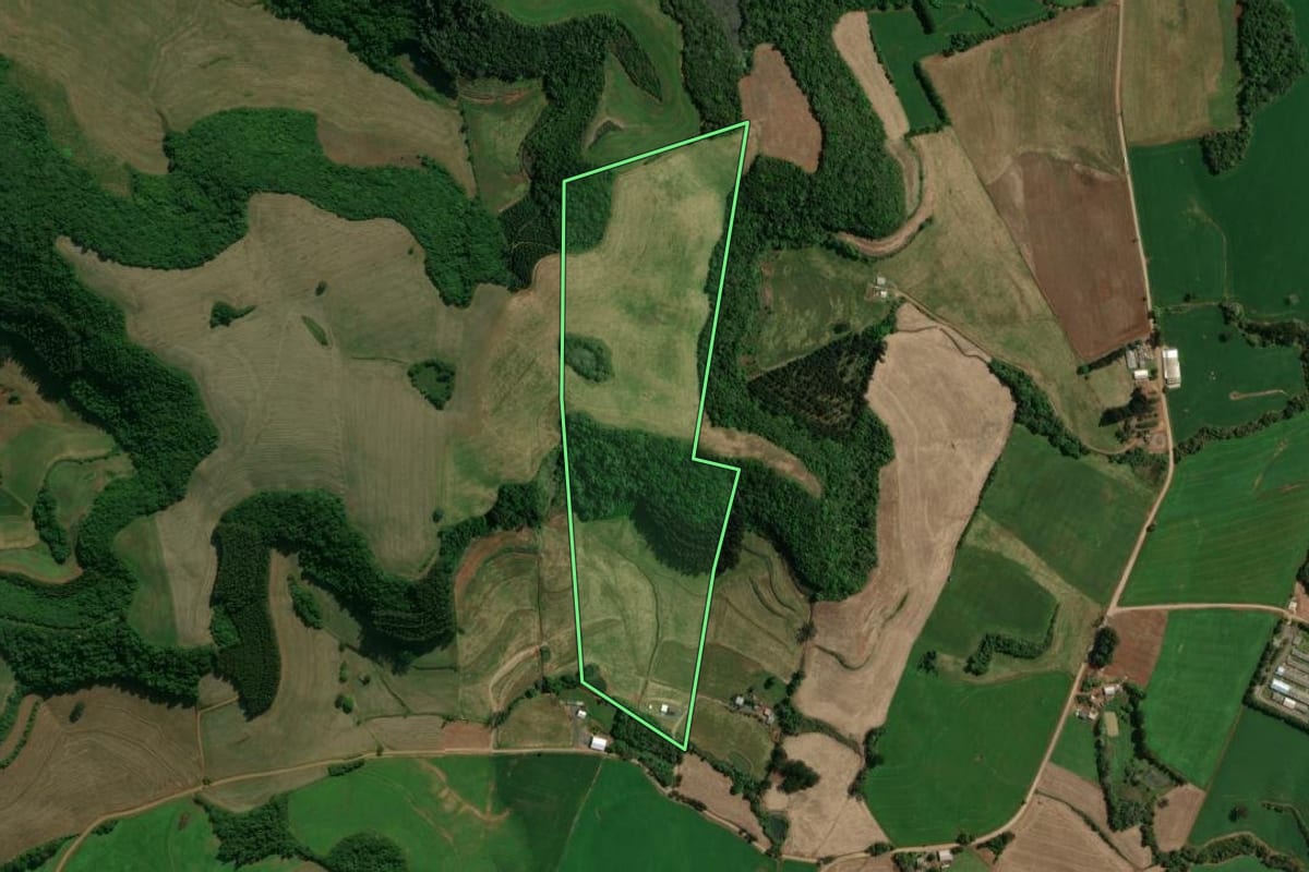 Imagem de satélite do imóvel rural em Charrua (RS), com o contorno declarado no CAR desenhado por cima.