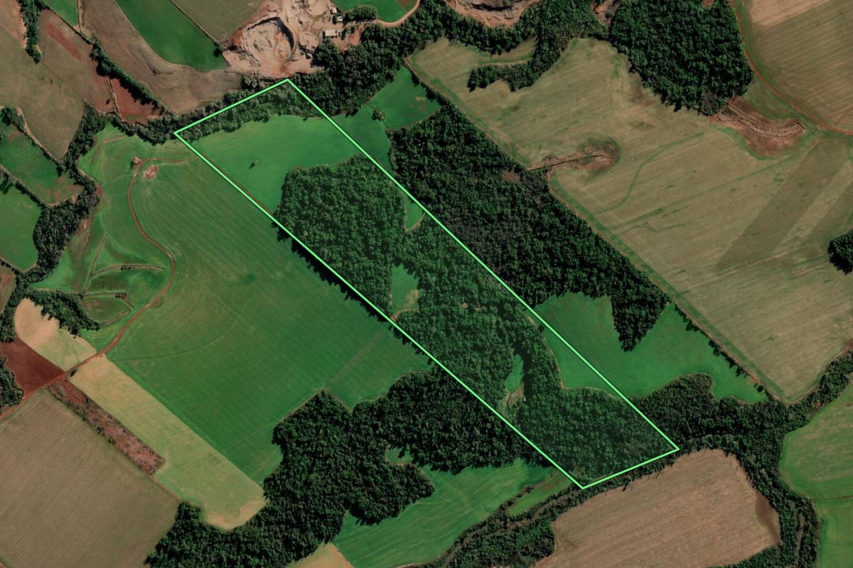 Imagem de satélite do imóvel rural em Chiapetta (RS), com o contorno declarado no CAR desenhado por cima.
