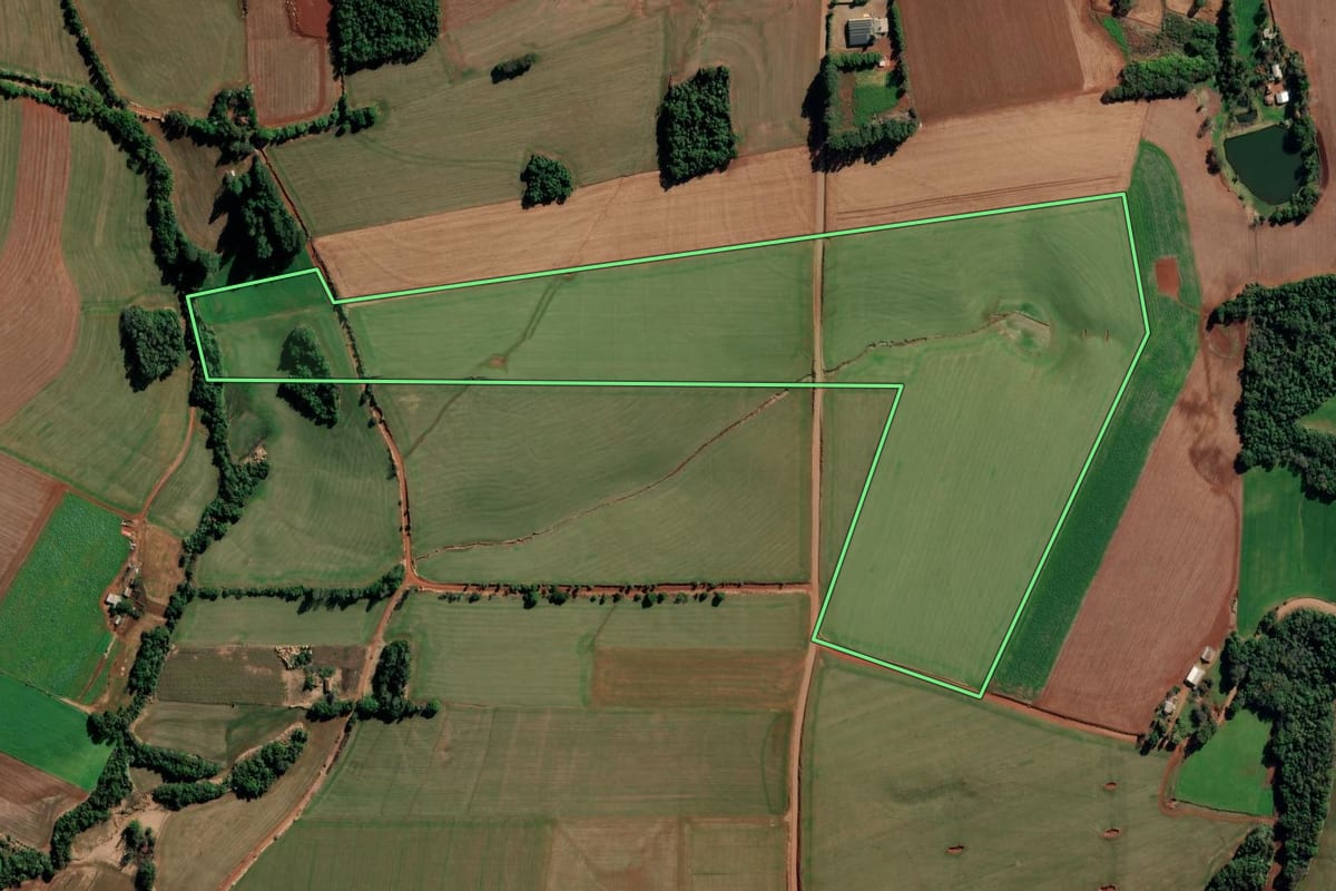 Imagem de satélite do imóvel rural em Chiapetta (RS), com o contorno declarado no CAR desenhado por cima.