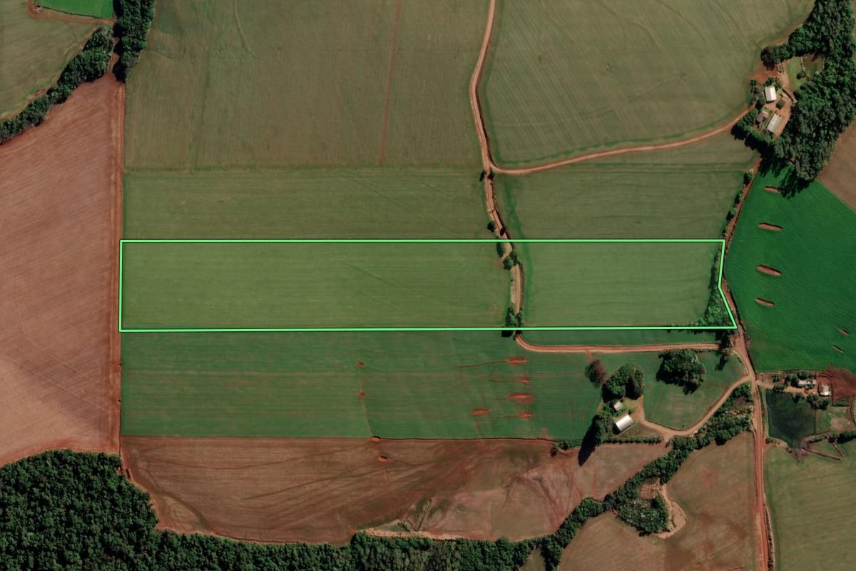 Imagem de satélite do imóvel rural em Chiapetta (RS), com o contorno declarado no CAR desenhado por cima.