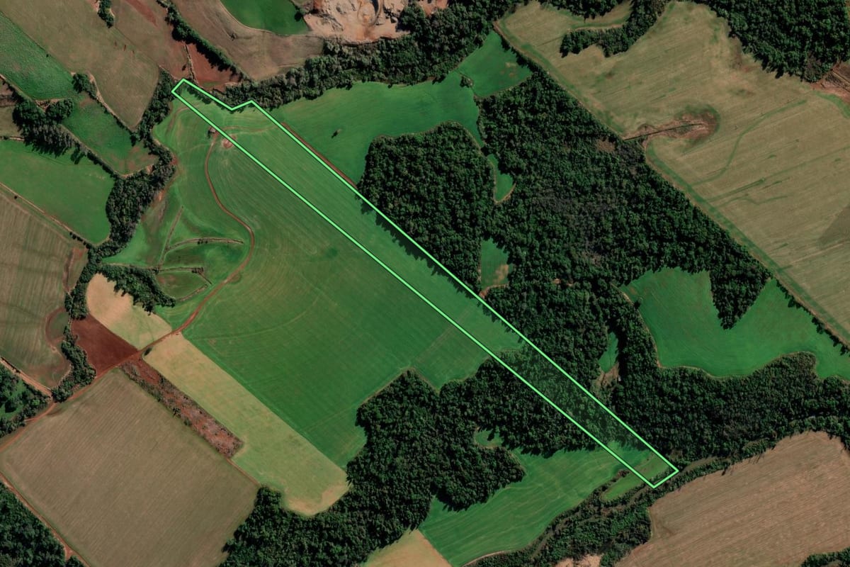 Imagem de satélite do imóvel rural em Chiapetta (RS), com o contorno declarado no CAR desenhado por cima.