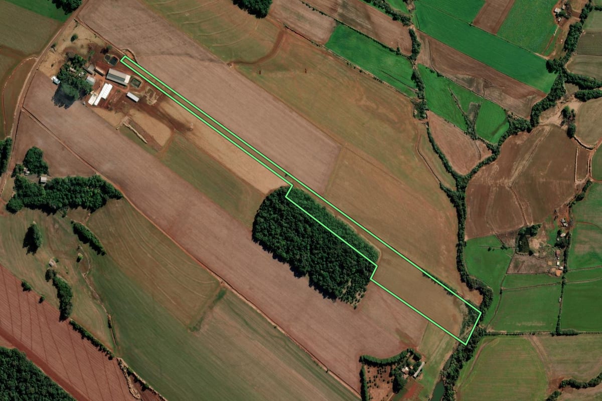 Imagem de satélite do imóvel rural em Chiapetta (RS), com o contorno declarado no CAR desenhado por cima.