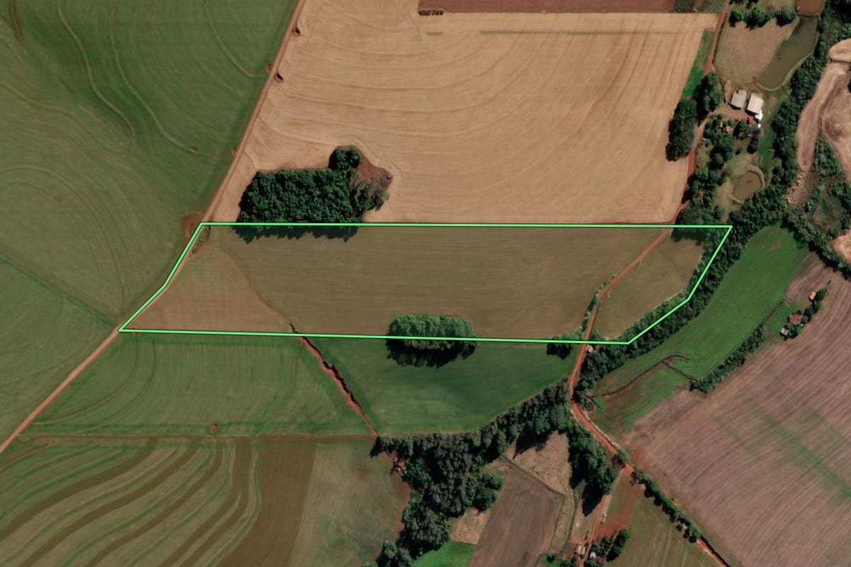 Imagem de satélite do imóvel rural em Chiapetta (RS), com o contorno declarado no CAR desenhado por cima.