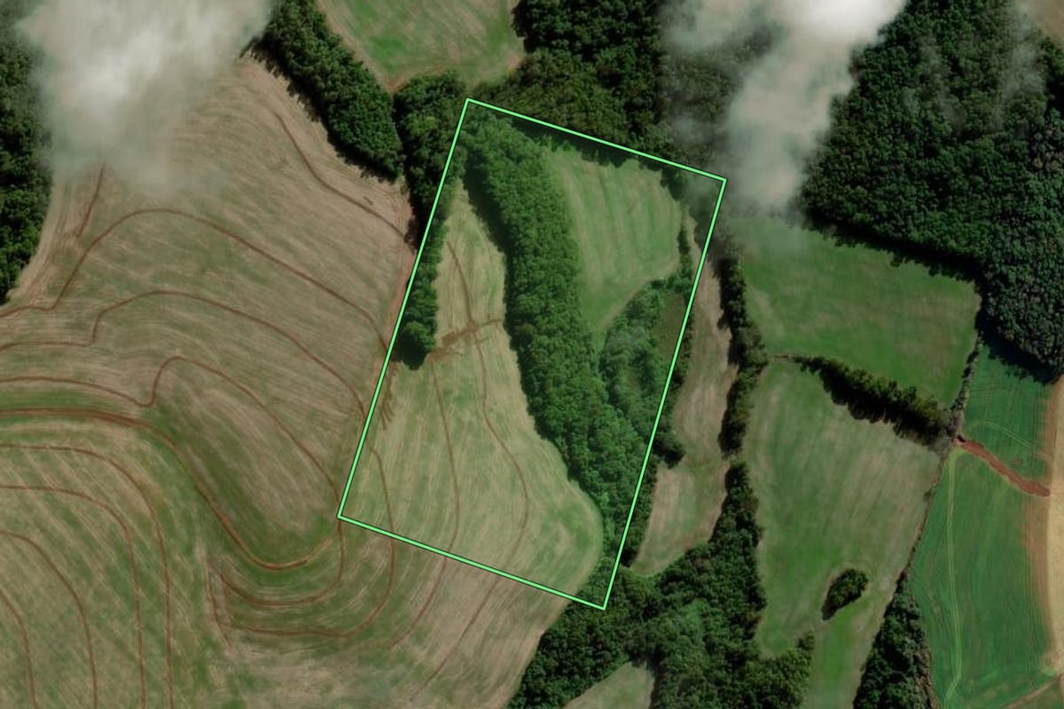 Imagem de satélite do imóvel rural em Chiapetta (RS), com o contorno declarado no CAR desenhado por cima.