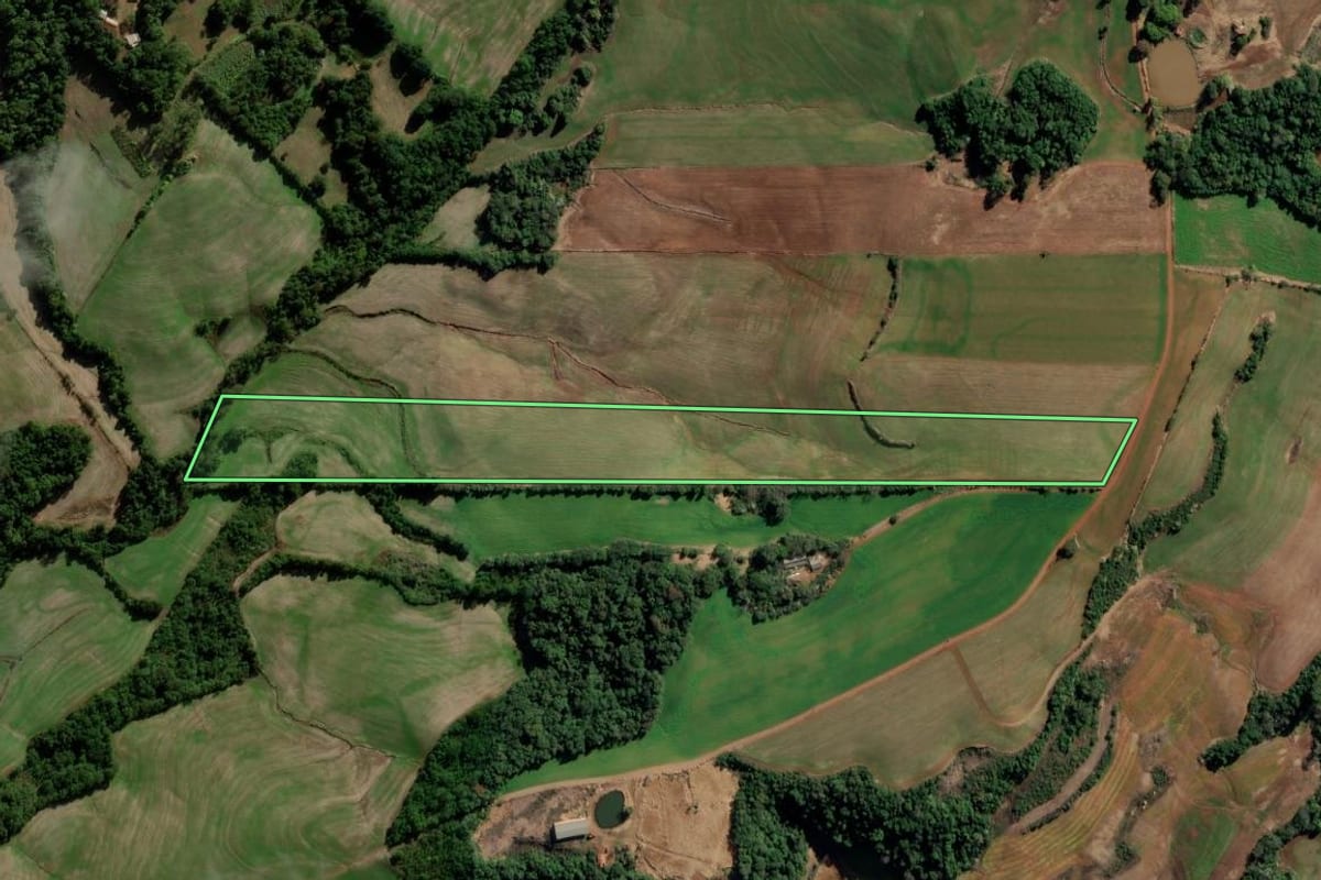 Imagem de satélite do imóvel rural em Chiapetta (RS), com o contorno declarado no CAR desenhado por cima.
