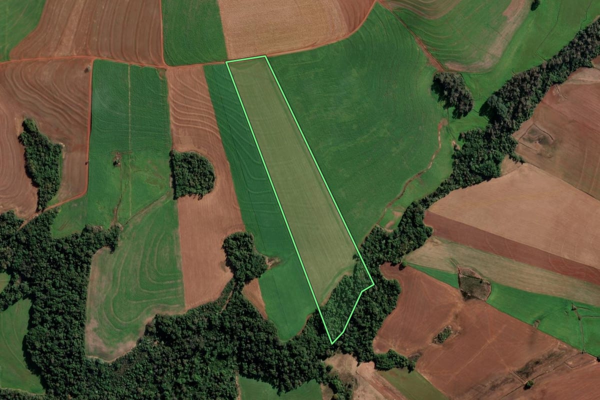 Imagem de satélite do imóvel rural em Chiapetta (RS), com o contorno declarado no CAR desenhado por cima.