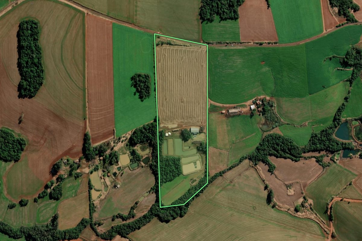 Imagem de satélite do imóvel rural em Chiapetta (RS), com o contorno declarado no CAR desenhado por cima.