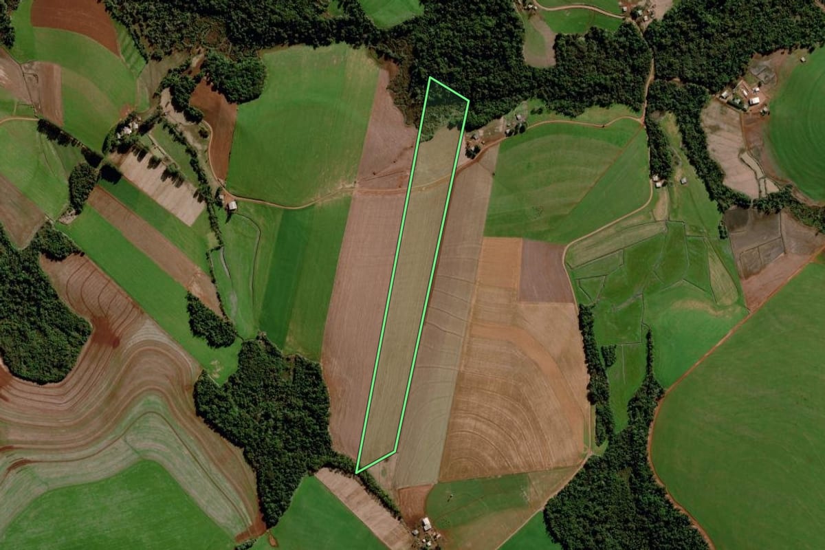 Imagem de satélite do imóvel rural em Chiapetta (RS), com o contorno declarado no CAR desenhado por cima.