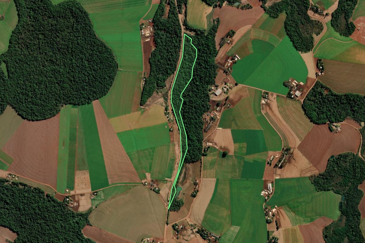 Imagem de satélite do imóvel rural em Chiapetta (RS), com o contorno declarado no CAR desenhado por cima.