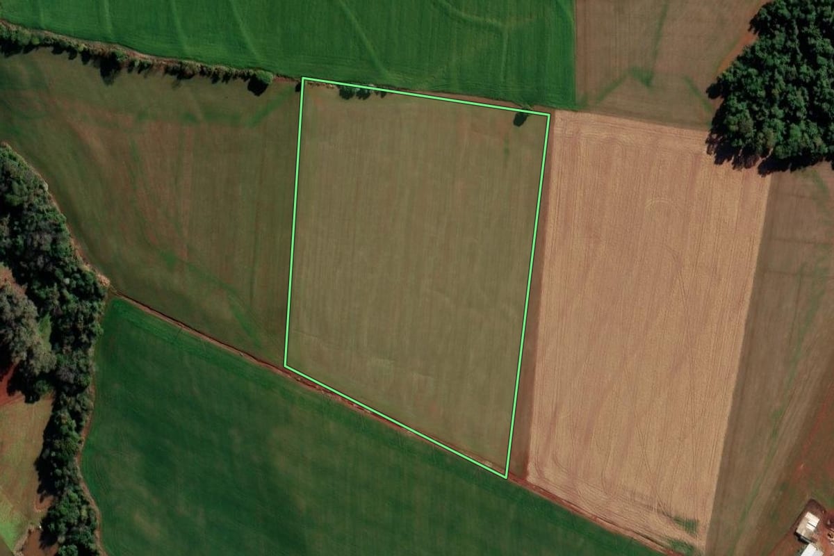Imagem de satélite do imóvel rural em Chiapetta (RS), com o contorno declarado no CAR desenhado por cima.