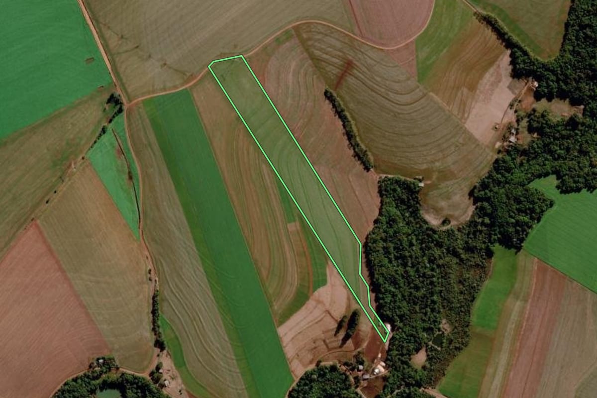 Imagem de satélite do imóvel rural em Chiapetta (RS), com o contorno declarado no CAR desenhado por cima.