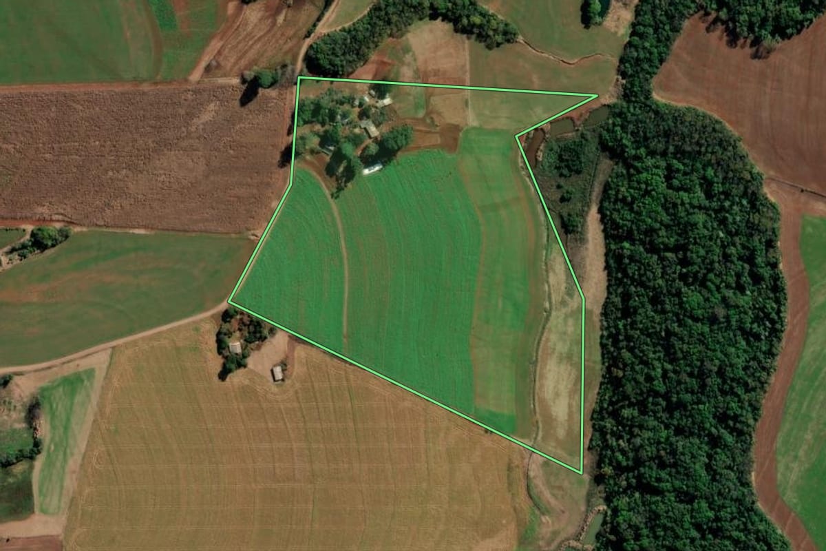Imagem de satélite do imóvel rural em Chiapetta (RS), com o contorno declarado no CAR desenhado por cima.